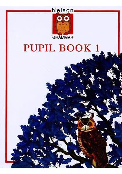 Nelson Grammar: Pupil Book 1