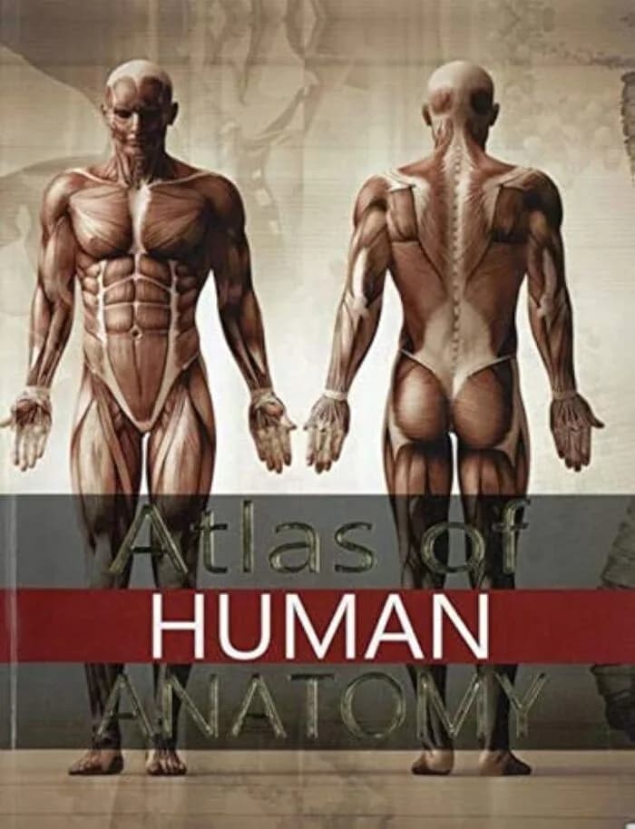 ATLAS OF HUMAN ANATOMY